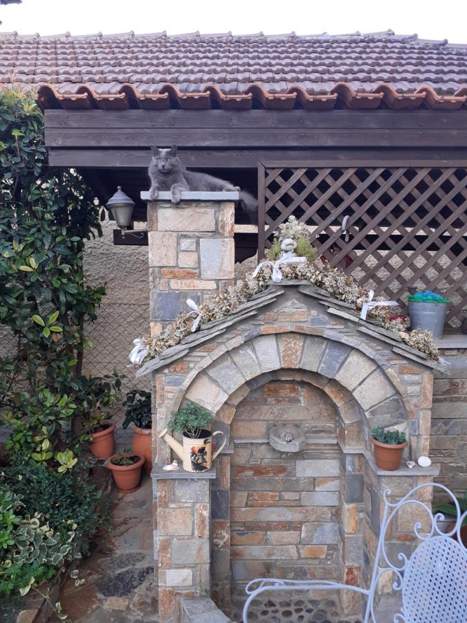 Traditional Maisonette In Pelion Volos Exteriör bild